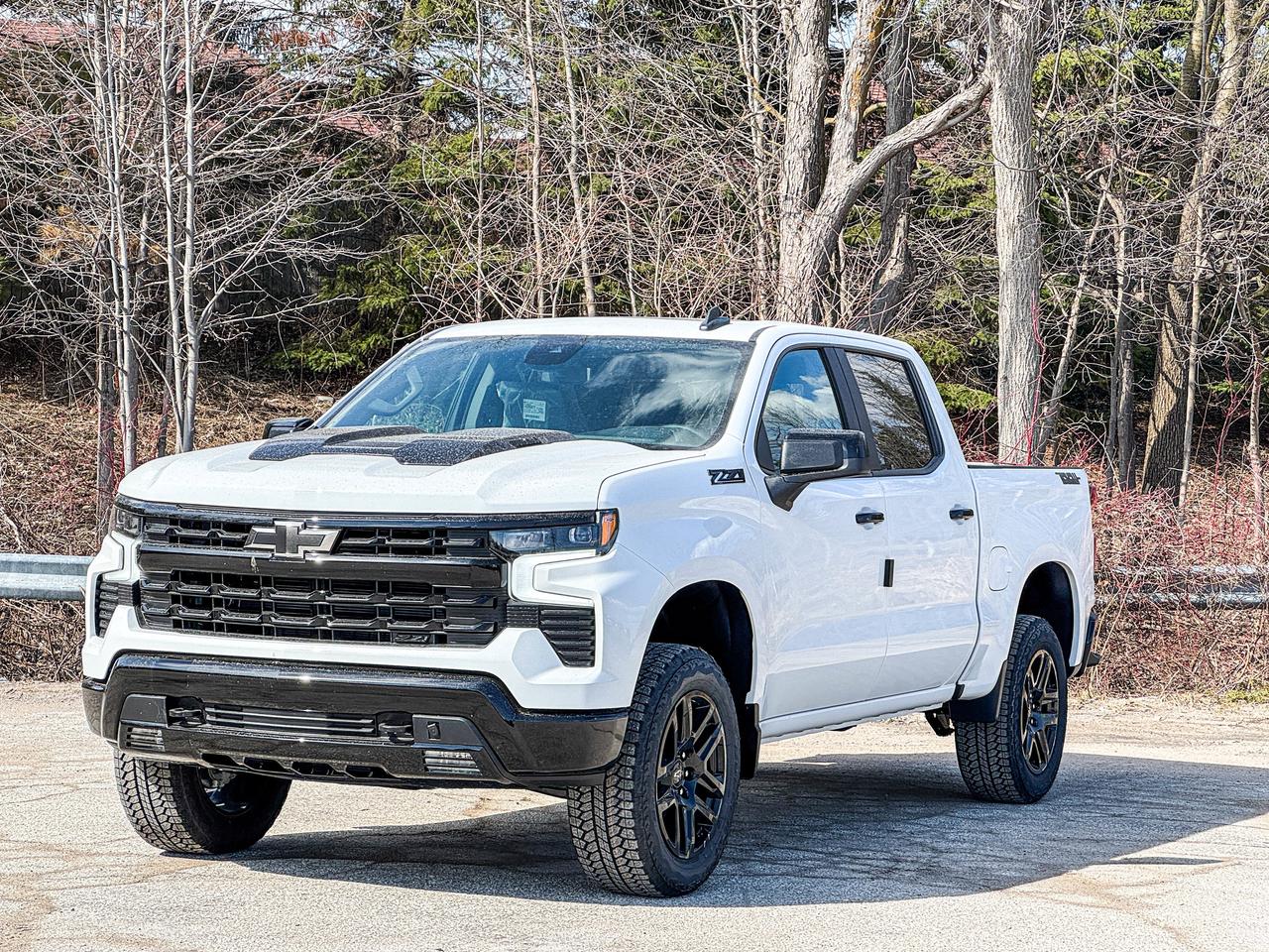 2026 Chevrolet Silverado 1500 LT Trail Boss Photo