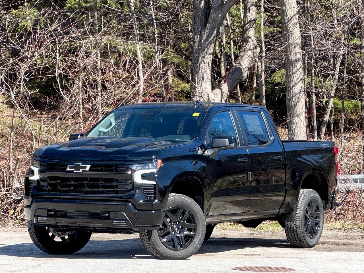 2026 Chevrolet Silverado 1500 LT Trail Boss Photo