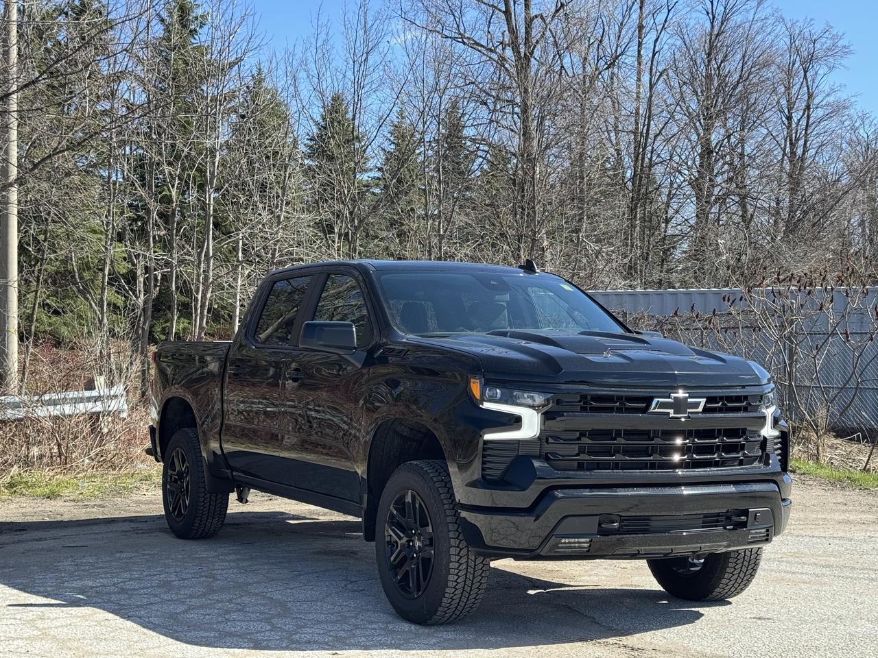 2026 Chevrolet Silverado 1500 LT Trail Boss Photo