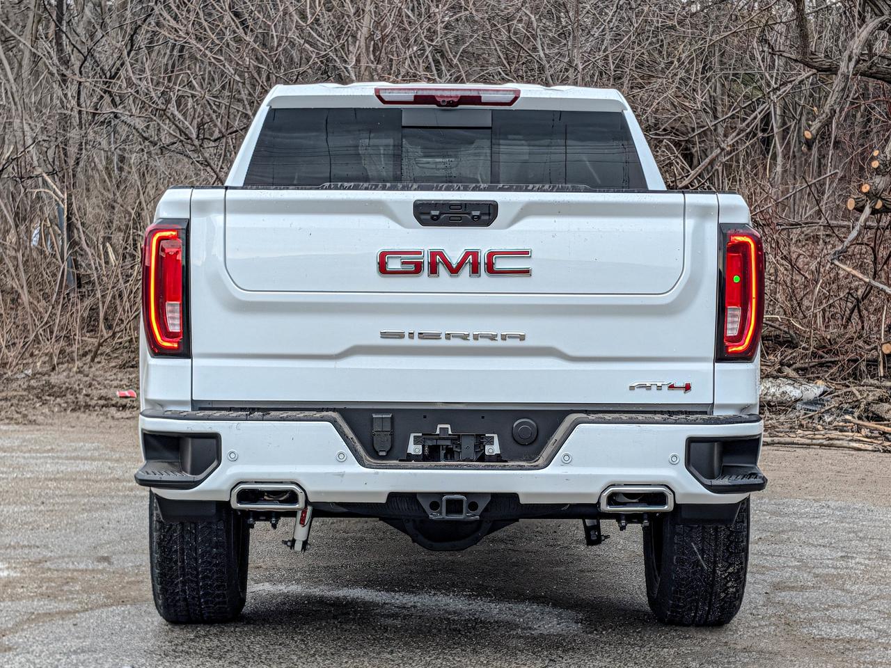 2026 GMC Sierra 1500 AT4 Photo