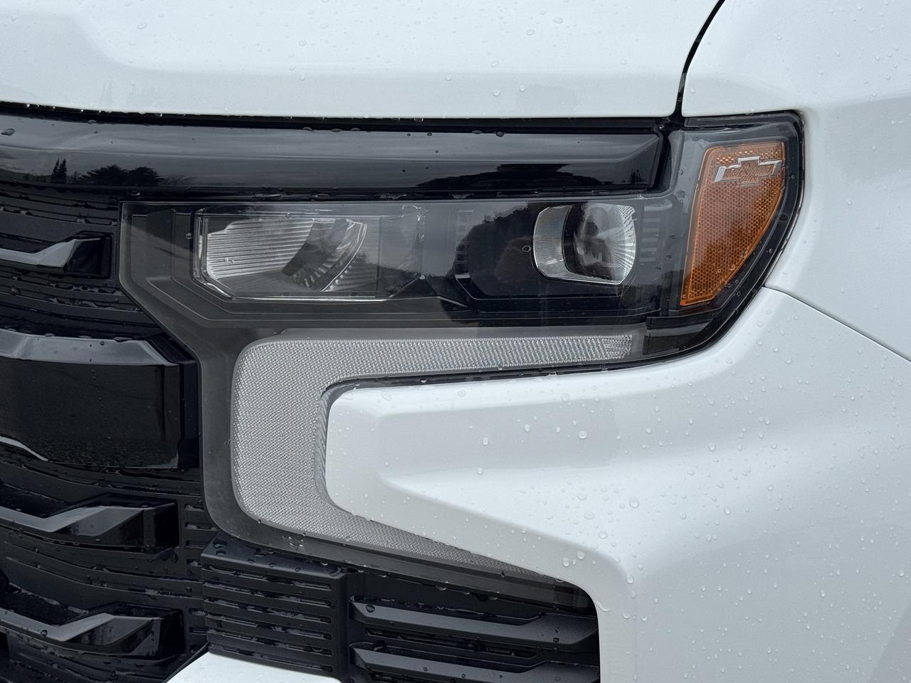 2026 Chevrolet Silverado 1500 LT Trail Boss Photo