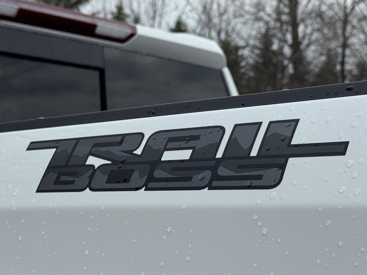 2026 Chevrolet Silverado 1500 LT Trail Boss Photo