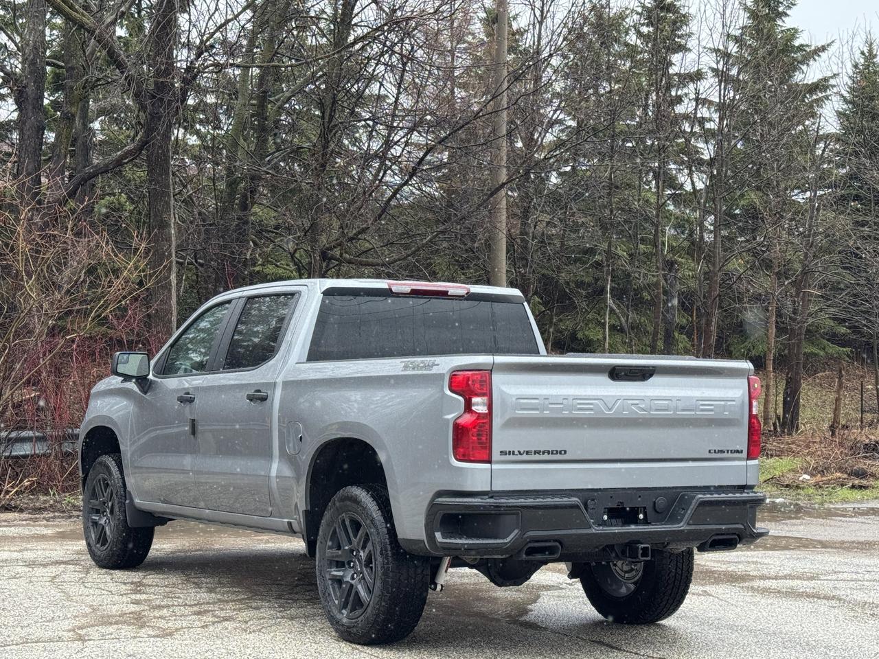 2026 Chevrolet Silverado 1500 Custom Trail Boss Photo