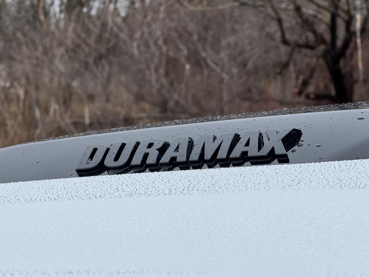 2026 Chevrolet Silverado 1500 LT Trail Boss Photo
