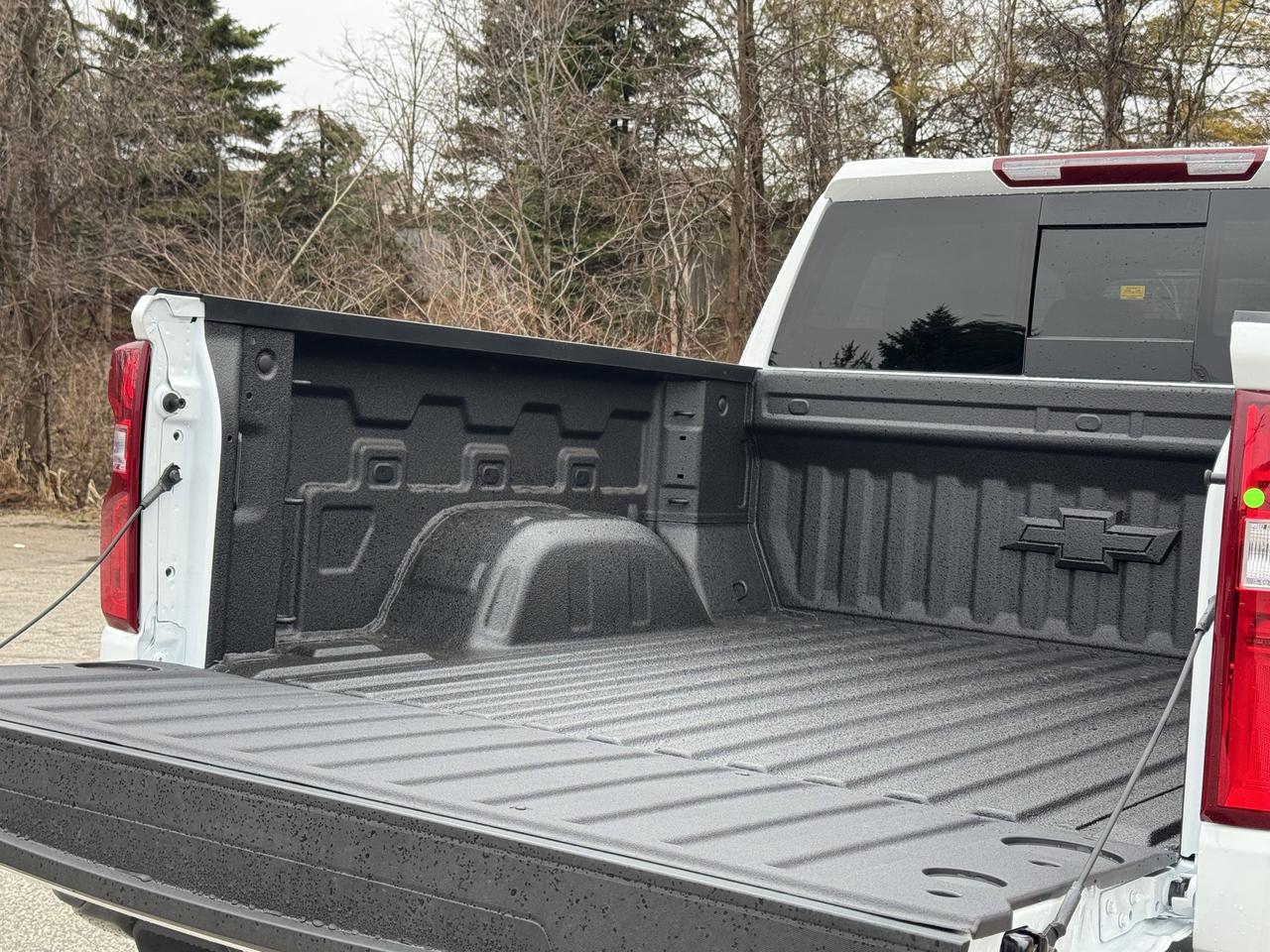 2026 Chevrolet Silverado 1500 LT Trail Boss Photo