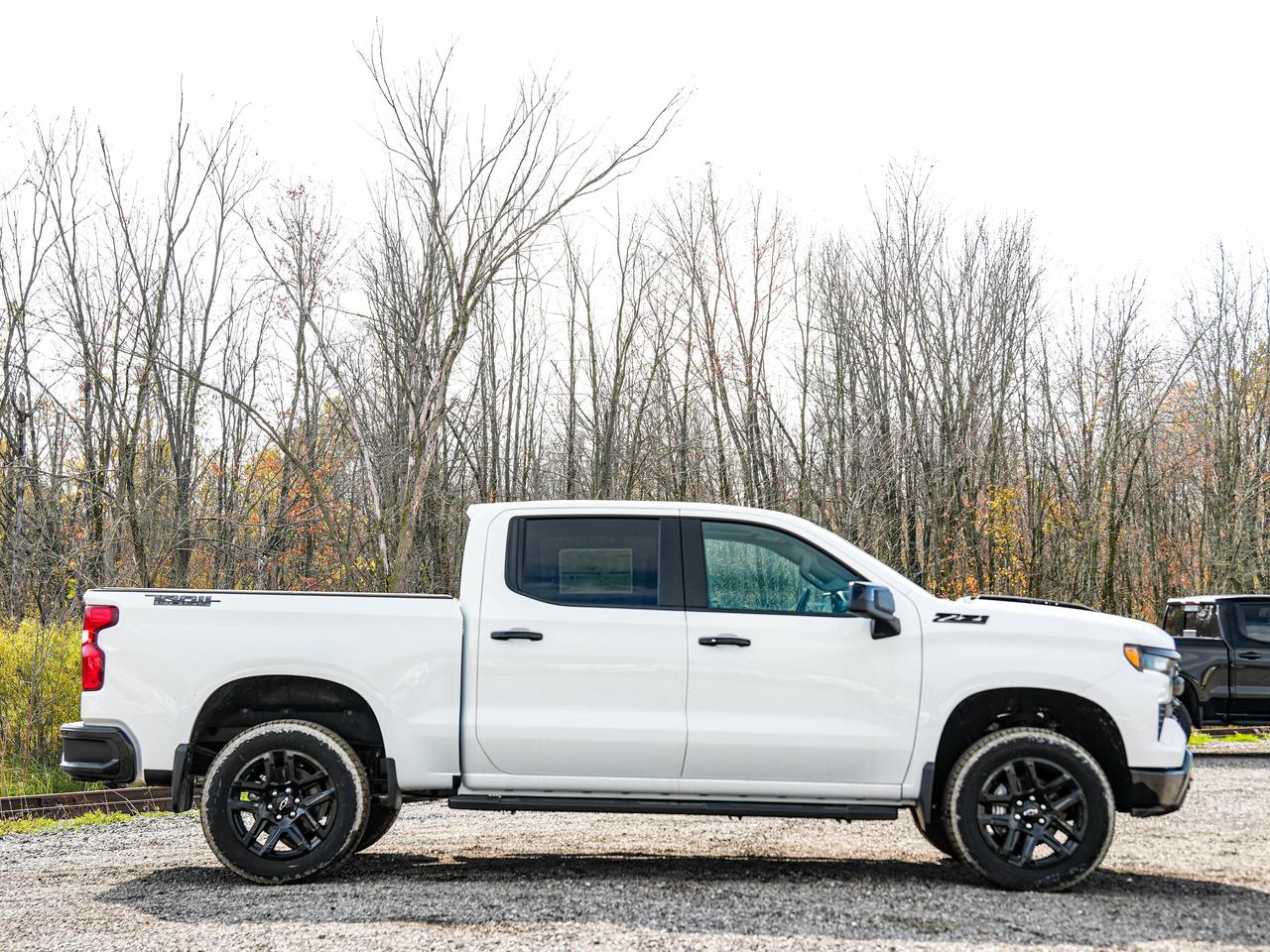 2026 Chevrolet Silverado 1500 LT Trail Boss Photo4