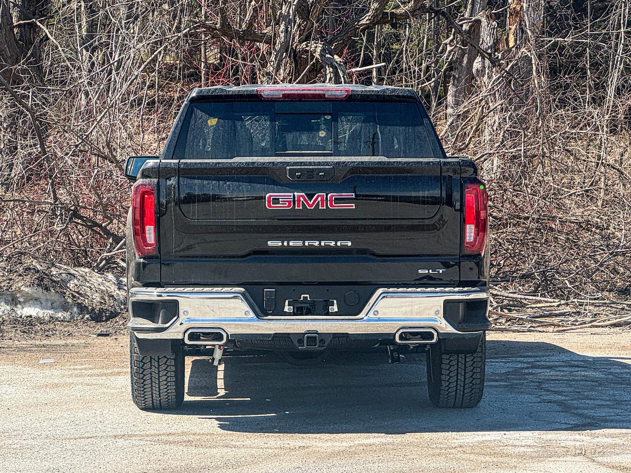 2026 GMC Sierra 1500 AT4 Photo