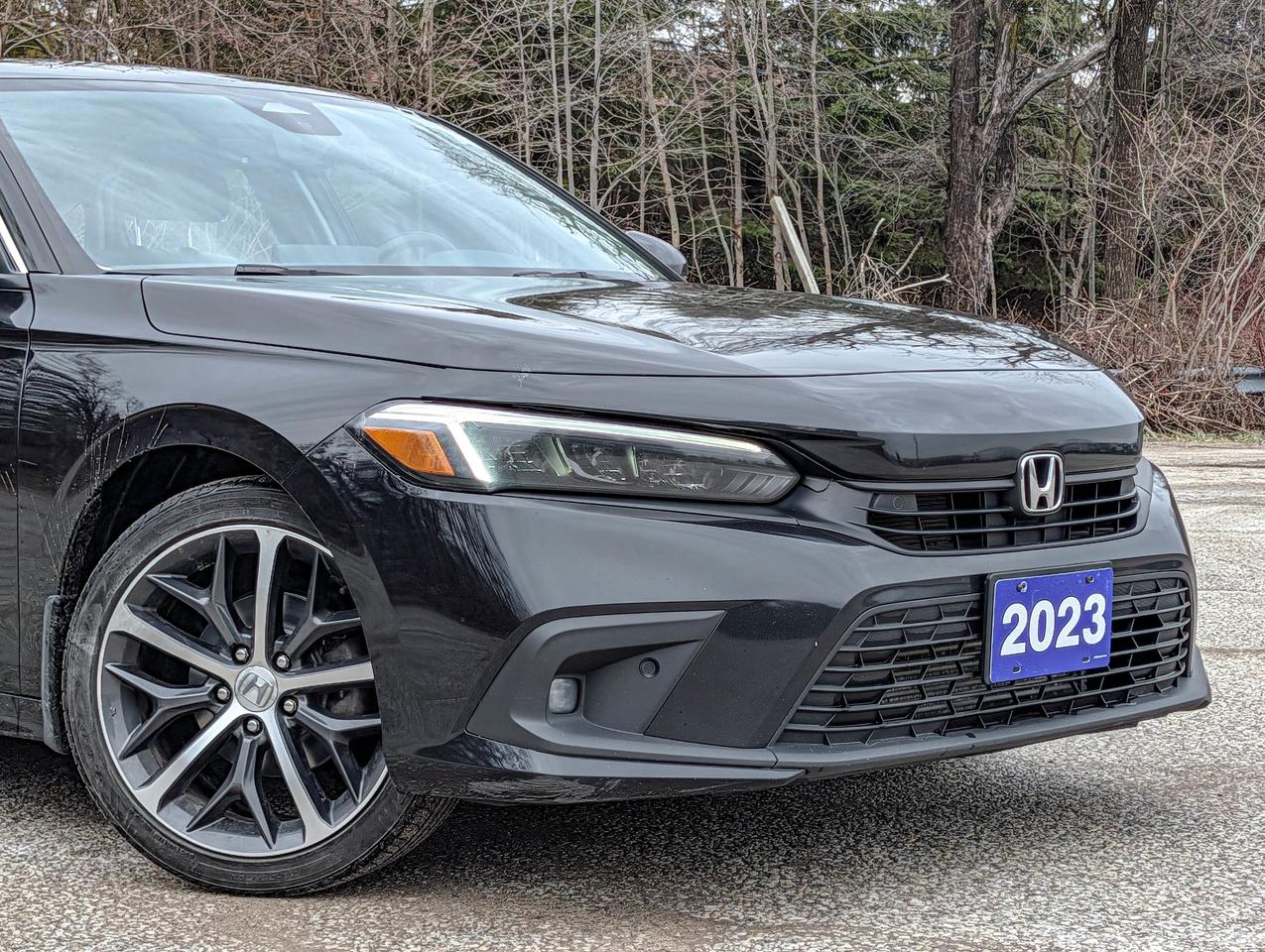 2023 Honda Civic Sedan Touring Photo