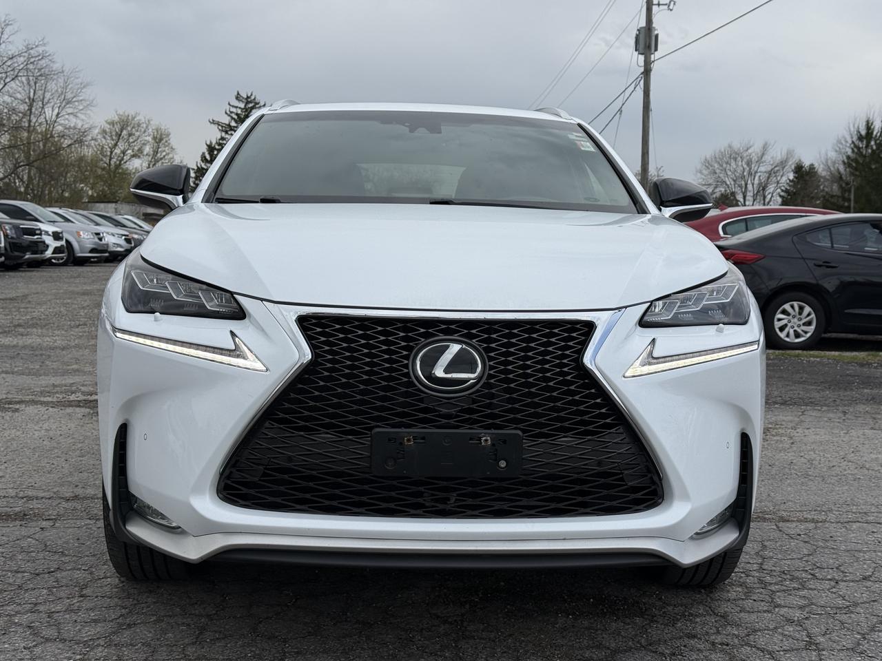 2017 Lexus NX 200t  Photo