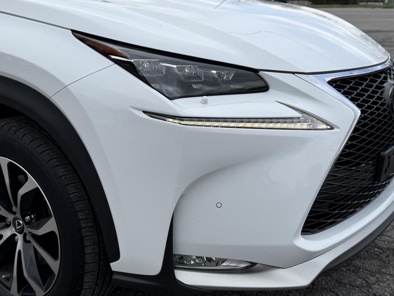 2017 Lexus NX 200t  Photo