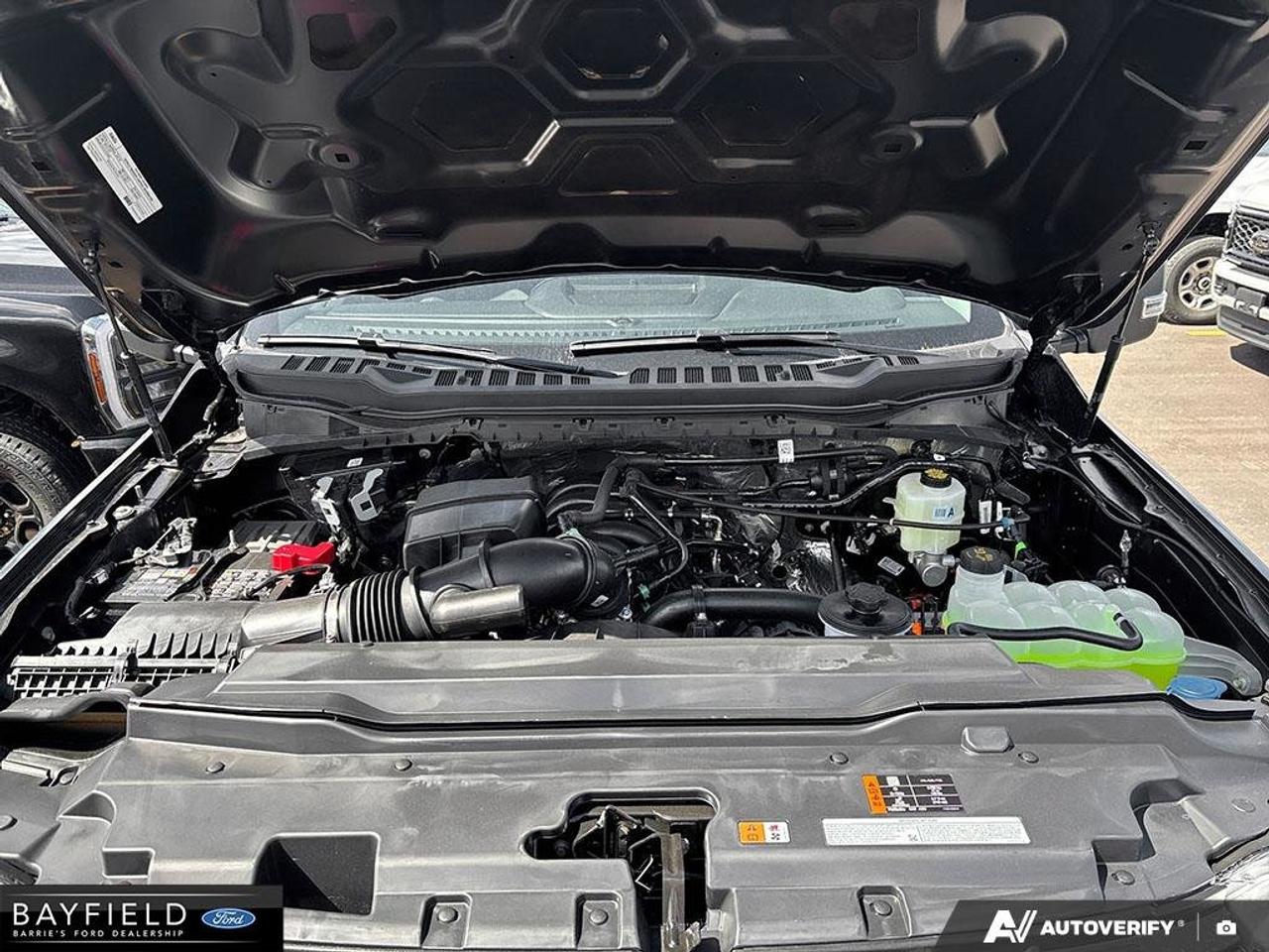 2026 Ford F-250 XLT Photo