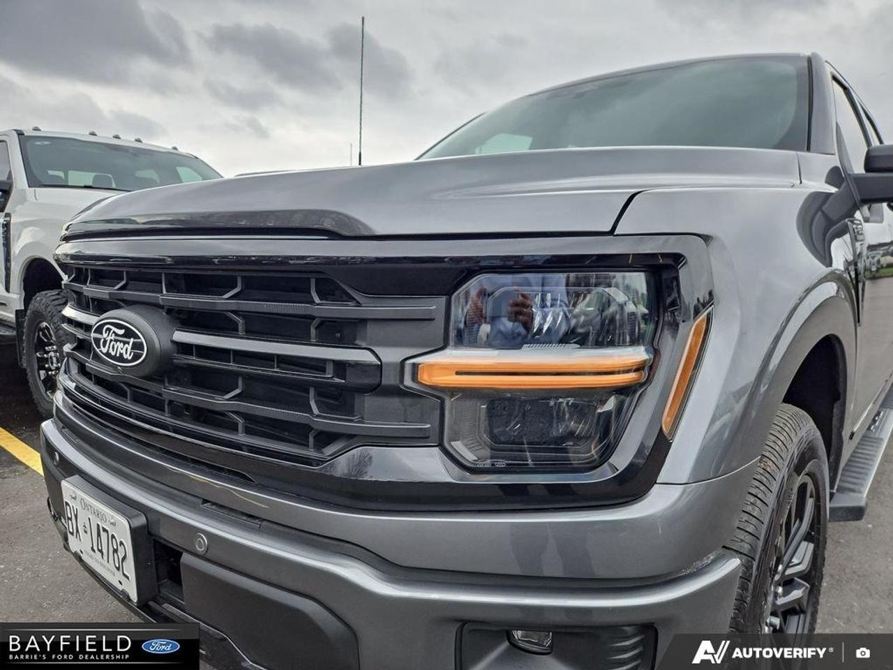 2026 Ford F-150 XLT 4WD SuperCrew 5.5' Box Photo