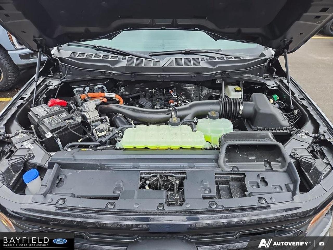 2026 Ford F-150 XLT 4WD SuperCrew 5.5' Box Photo