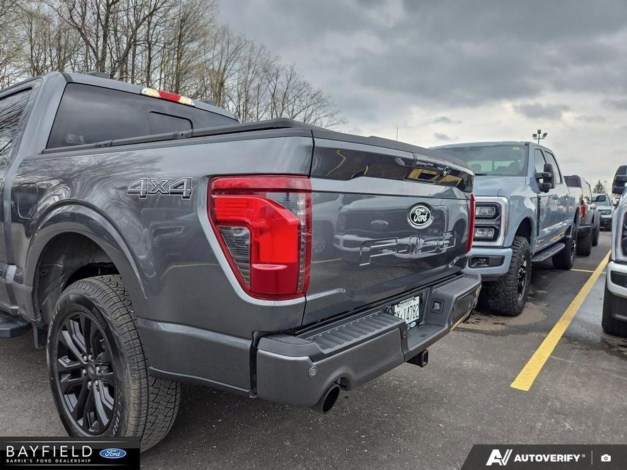 2026 Ford F-150 XLT 4WD SuperCrew 5.5' Box Photo