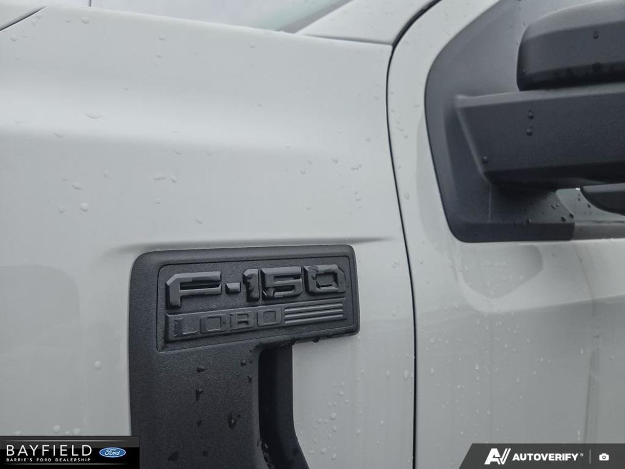 2025 Ford F-150 STX Photo