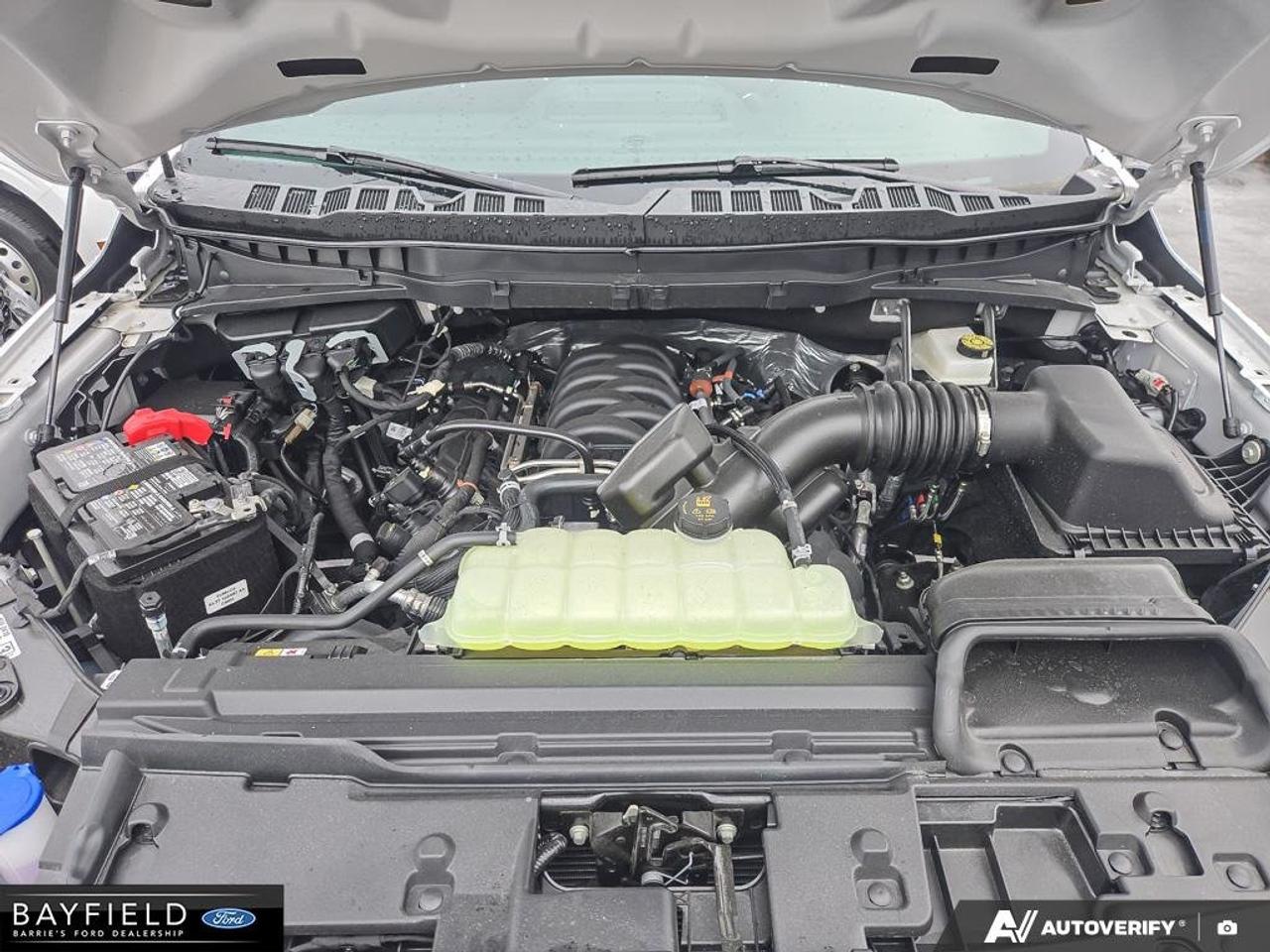 2025 Ford F-150 STX Photo