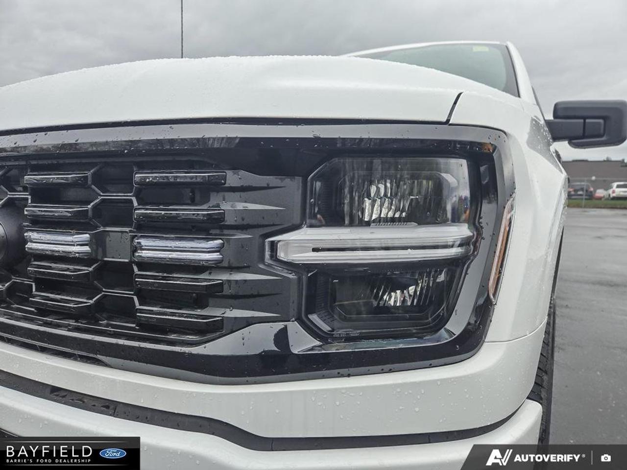 2025 Ford F-150 STX Photo