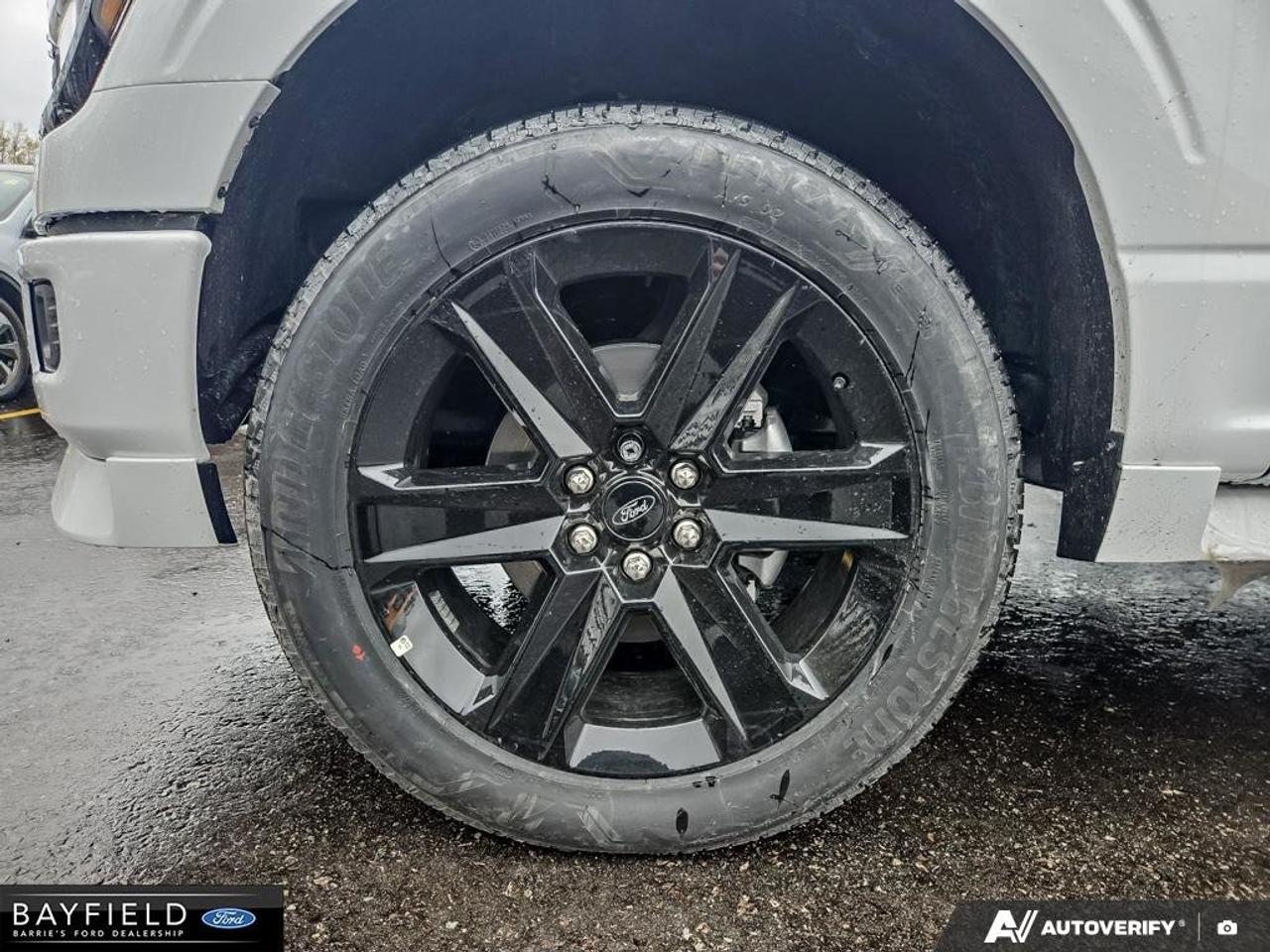 2025 Ford F-150 STX Photo
