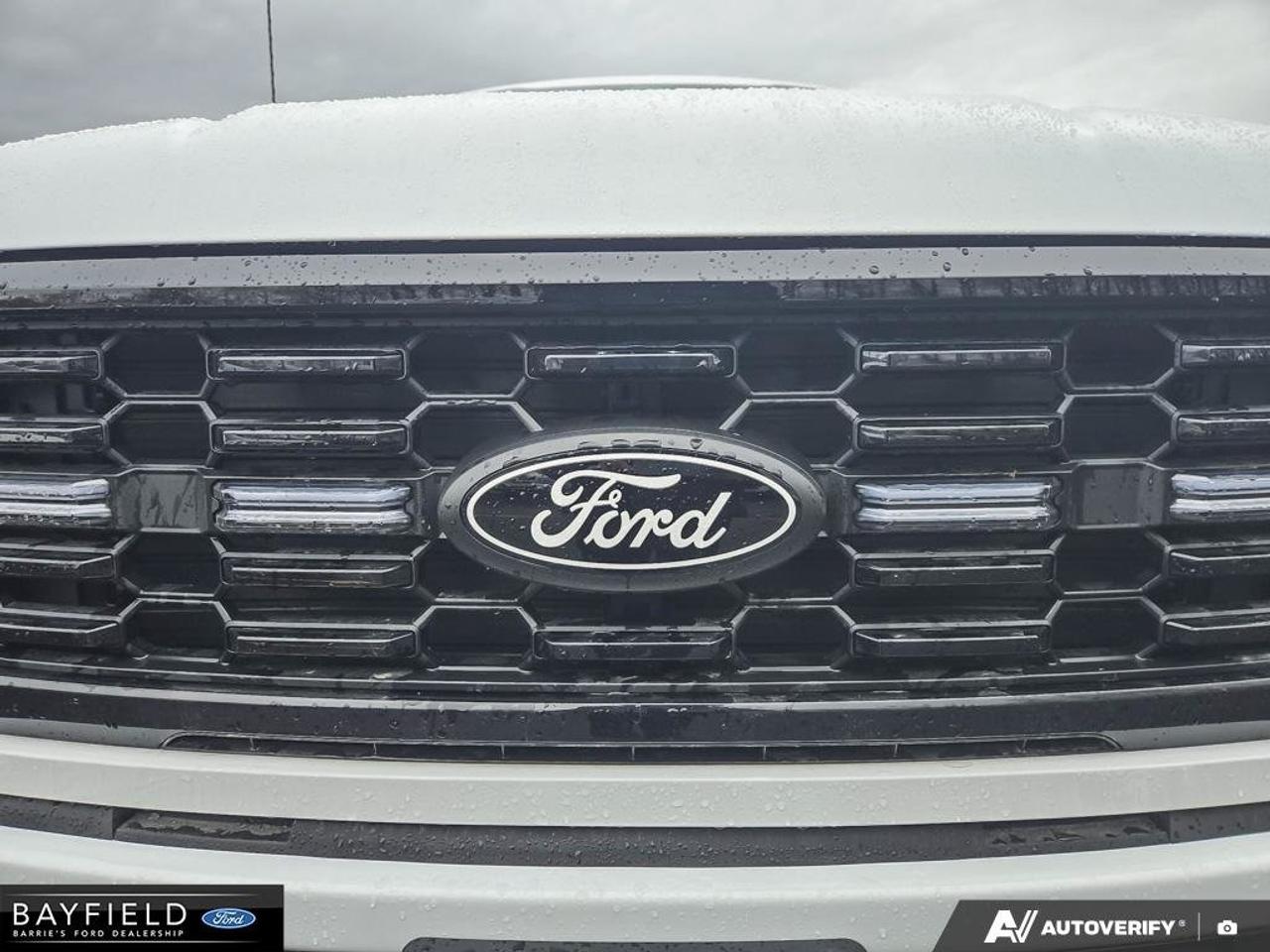 2025 Ford F-150 STX Photo