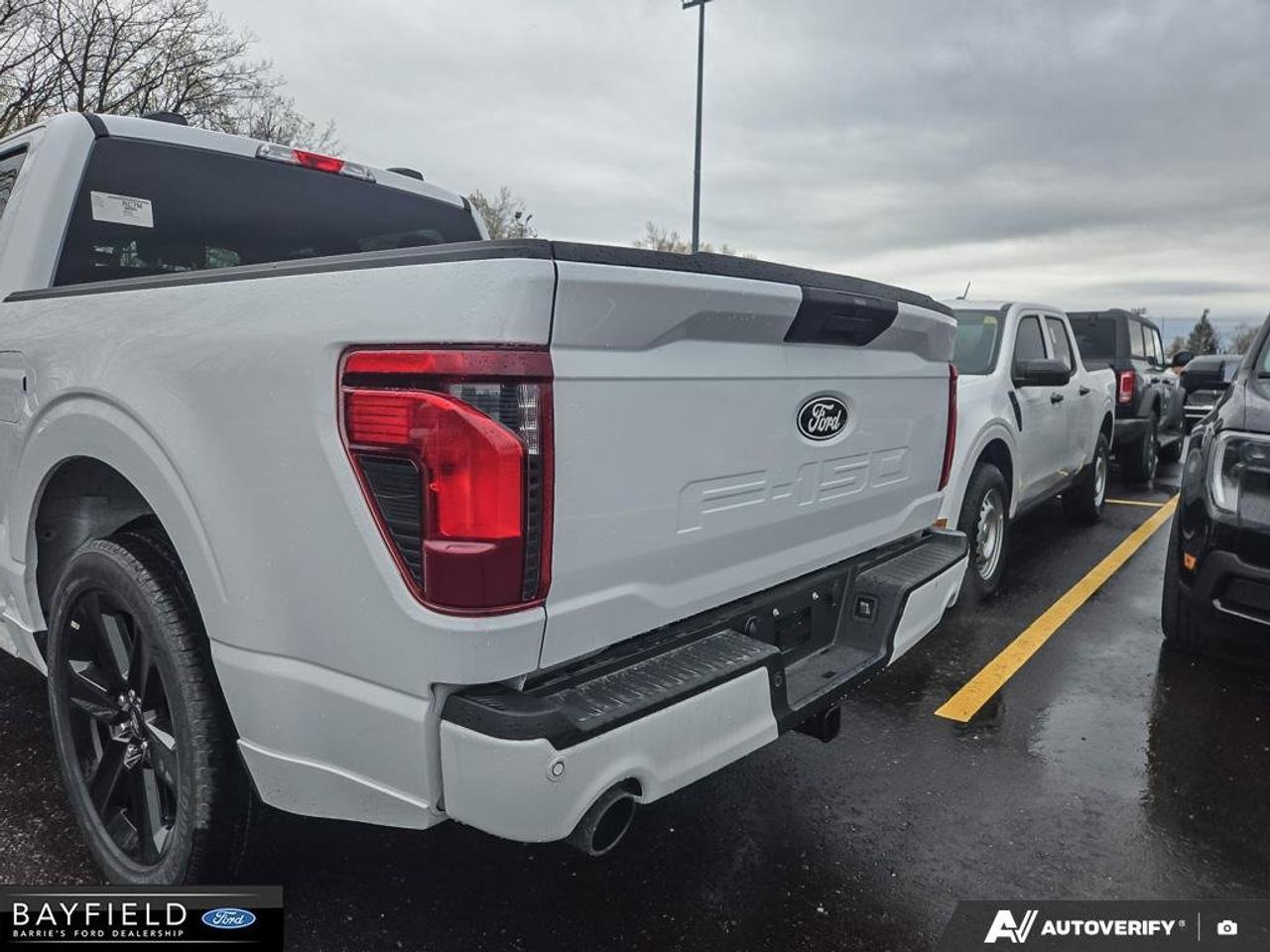 2025 Ford F-150 STX Photo