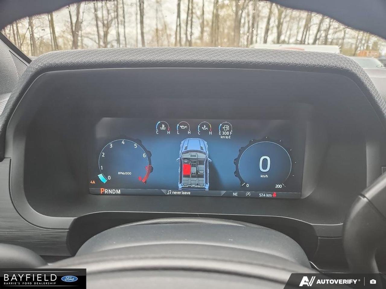 2025 Ford F-150 STX Photo