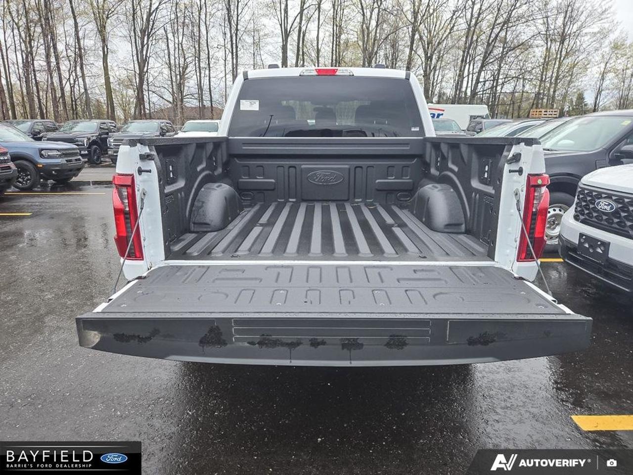 2025 Ford F-150 STX Photo