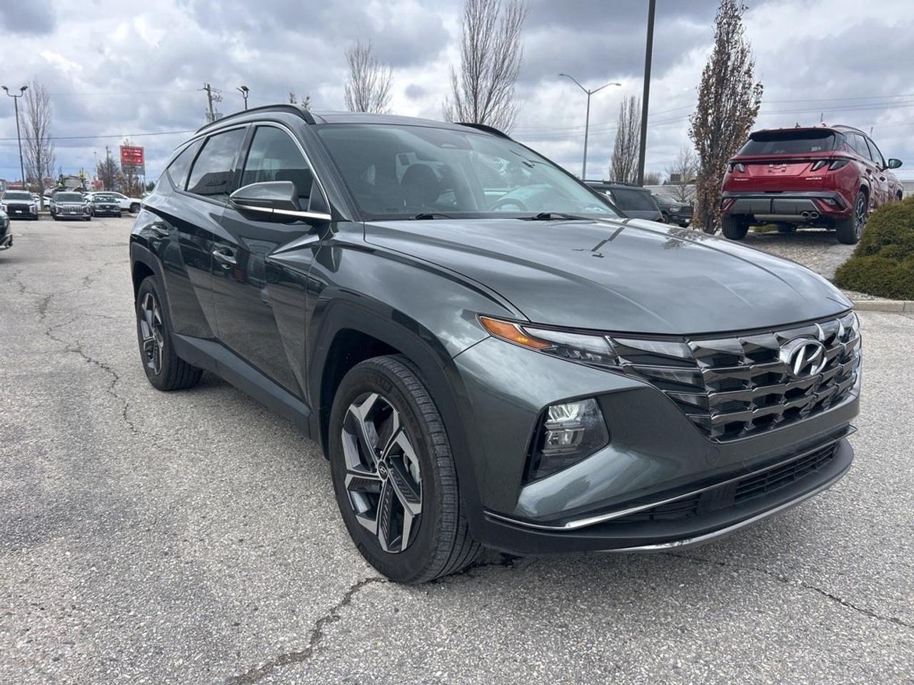 2023 Hyundai Tucson Plug-In Hybrid Luxury Photo