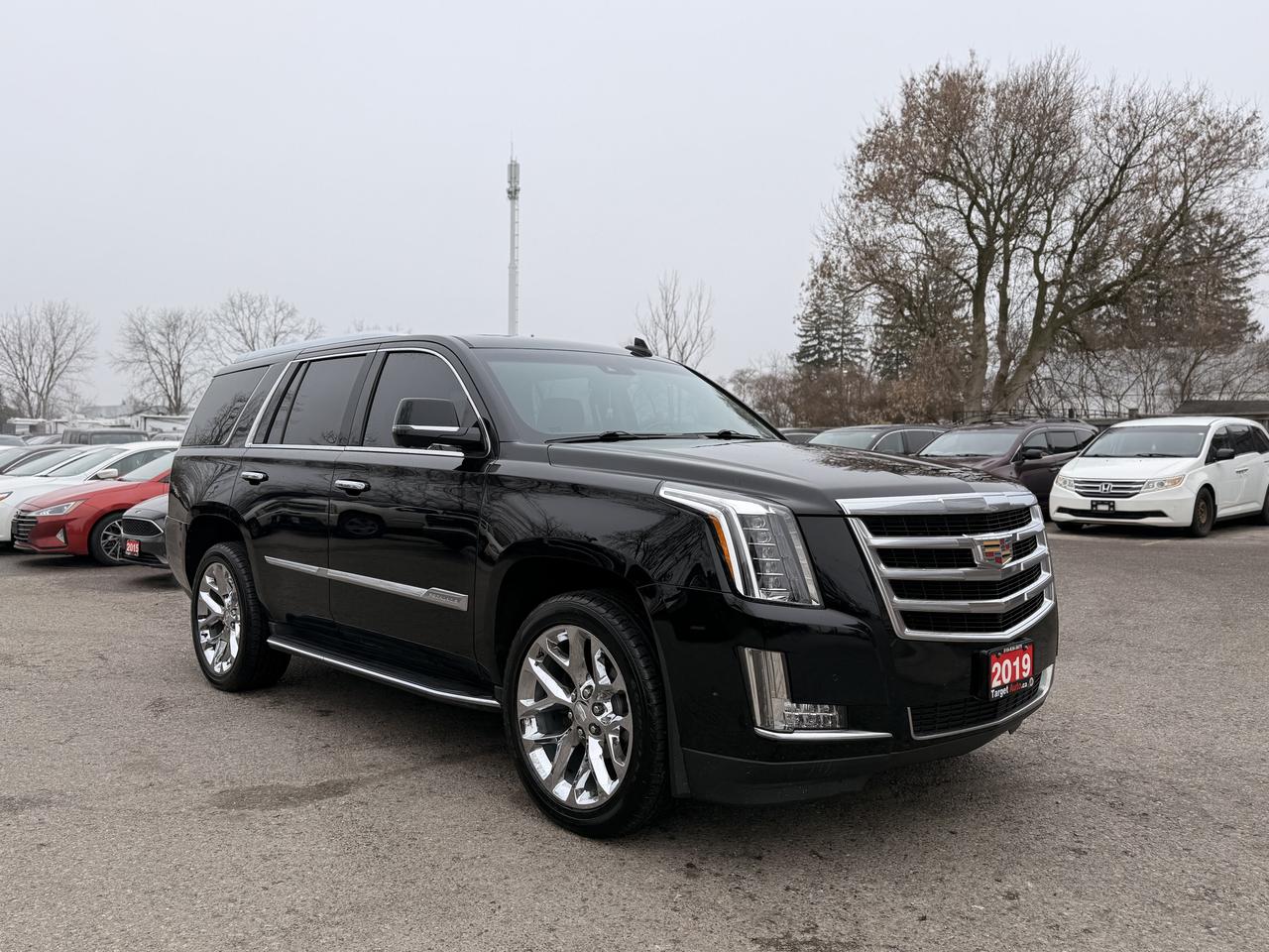 <p>Looking for a luxurious and capable SUV that makes a statement? Check out this stunning, used 2019 Cadillac Escalade LUXURY, available now at Target Auto Centre! This head-turning SUV commands attention with its sleek black exterior, perfectly complemented by a sophisticated black interior. Under the hood, youll find a powerful 6.2L V8 engine, ready to deliver impressive performance whether youre cruising city streets or embarking on a cross-country adventure. With 158,774 km on the odometer, this Escalade has plenty of life left, offering you years of comfortable and confident driving. This Escalade LUXURY is packed with features designed to elevate your driving experience. The automatic transmission and 4-wheel drive system provide smooth shifts and confident handling in various road conditions. The Escalades spacious interior, designed as an SUV / Crossover, ensures ample room for passengers and cargo, making it perfect for family trips or weekend getaways.</p><hr><p dir=ltr><strong>CERTIFIED PRE-OWNED VEHICLE | BUY WITH CONFIDENCE</strong></p><p dir=ltr>&nbsp;- Ontario Safety Standards Certificate Included<br>- 30 Day / 1,000 KM Safety Warranty Included<br>- Fully Detailed Prior to Delivery<br>- CARFAX Vehicle History Report Available</p><hr><p dir=ltr><strong>FINANCING MADE SIMPLE | ALL CREDIT WELCOME</strong></p><p dir=ltr>&nbsp;- $0 Down Payment Options Available<br>- Competitive Rates Through Trusted Lenders<br>- Fast Approvals | Simple Application Process<br>- On-site Financing Assistance<br>- Good Credit | Bad Credit | No Credit Options<br>- <a href=https://targetauto.ca/financing/>Apply Now</a></p><hr><p dir=ltr><strong>VALUE & TRANSPARENCY | WHY CHOOSE US</strong></p><p dir=ltr>- Price Plus HST & Licensing Only<br>- No Additional Fees | All-In Pricing<br>- Same Price Cash or Finance<br>- Extended Warranty Protection Plans Available<br>- Autotrader Best Priced Dealer Award (2024)<br>- Competitive Market Value on Trade-ins<br>- We&rsquo;ll Buy Your Car &mdash; No Purchase Required<br>- Know Someone Looking For a Vehicle? Get a Referral Award<br>- Open 7 Days a Week</p><hr><p dir=ltr><strong>ABOUT TARGET AUTO CENTRE</strong></p><p dir=ltr>Target Auto Centre has been proudly serving London, Ontario and surrounding areas for over 20 years, offering over 150 quality pre-owned vehicles and a constantly updated selection to choose from. We focus on providing competitive pricing, clear information, and a straightforward buying process so you know exactly what to expect from start to finish.</p><p dir=ltr>Cars For Everyone! We offer a wide selection of vehicles to fit every lifestyle, need, and budget. Our inventory includes cars, trucks, SUVs, and vans from trusted brands such as Ford, Chevrolet, Toyota, Honda, Nissan, BMW, Mercedes-Benz, Audi, Lexus, Acura, Hyundai, Kia, Mazda, Volkswagen, Jeep, RAM, GMC, Subaru, and more. With new arrivals regularly, there&rsquo;s always something for everyone.</p><p dir=ltr>As a proud member of the Used Car Dealers Association of Ontario (UCDA), we are committed to operating with honesty, transparency, and professionalism in every transaction. Our goal is to make your vehicle purchase as simple and stress-free as possible, while delivering the level of service our customers continue to trust. Come visit us today and see why were the preferred choice for pre-owned vehicles in London and the surrounding areas. We look forward to earning your business!</p><p>&nbsp;</p>