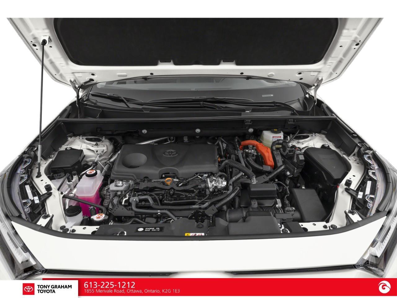 2024 Toyota RAV4 Hybrid LE Photo