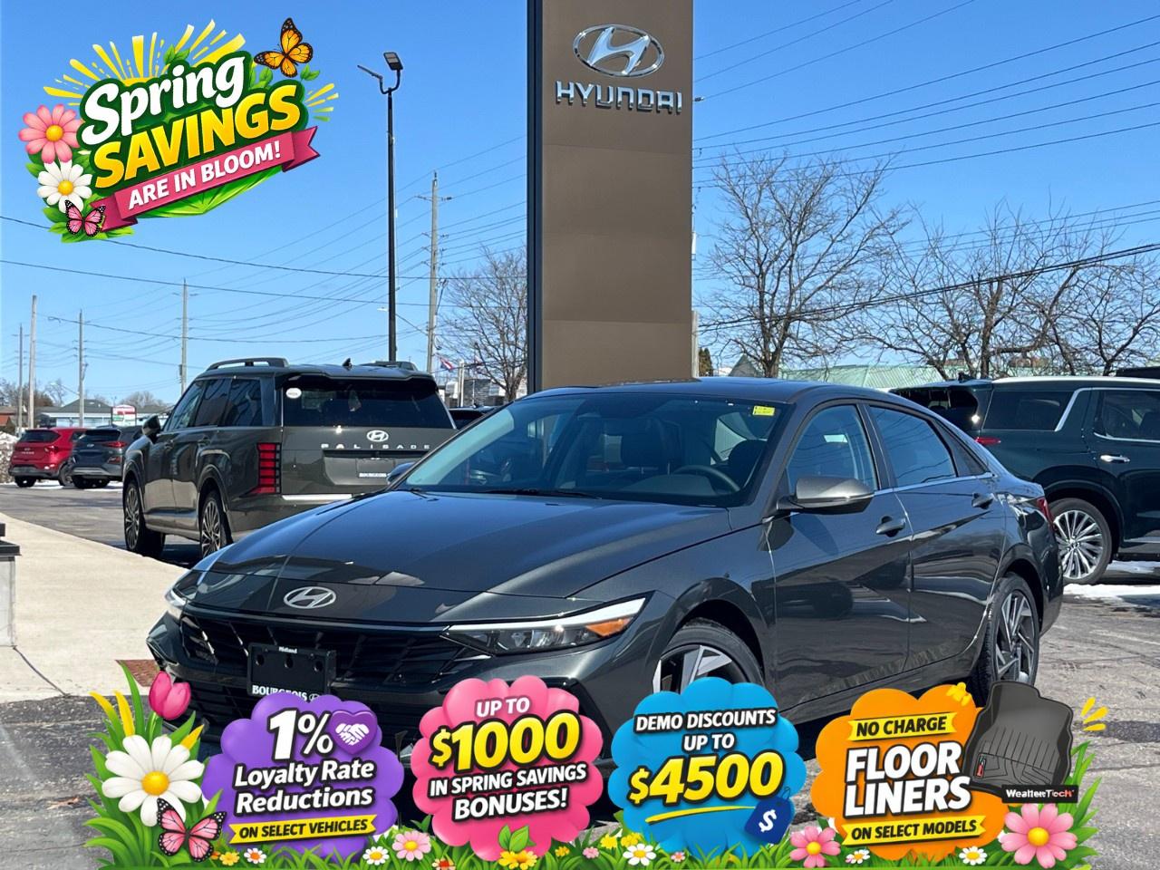 2026 Hyundai Elantra Luxury IVT Photo