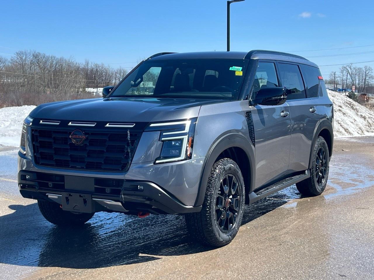 2026 Nissan Armada 4x4 PRO-4X Photo