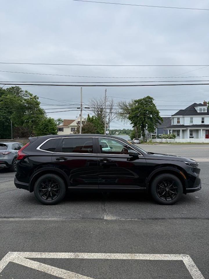2025 Honda CR-V Hybrid EX-L Photo