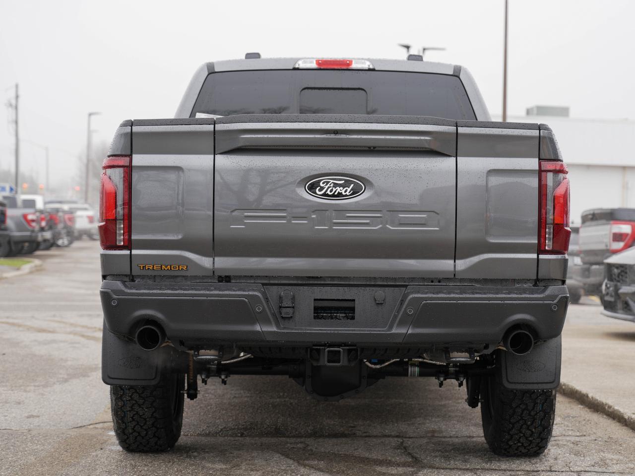 2026 Ford F-150 Tremor Photo