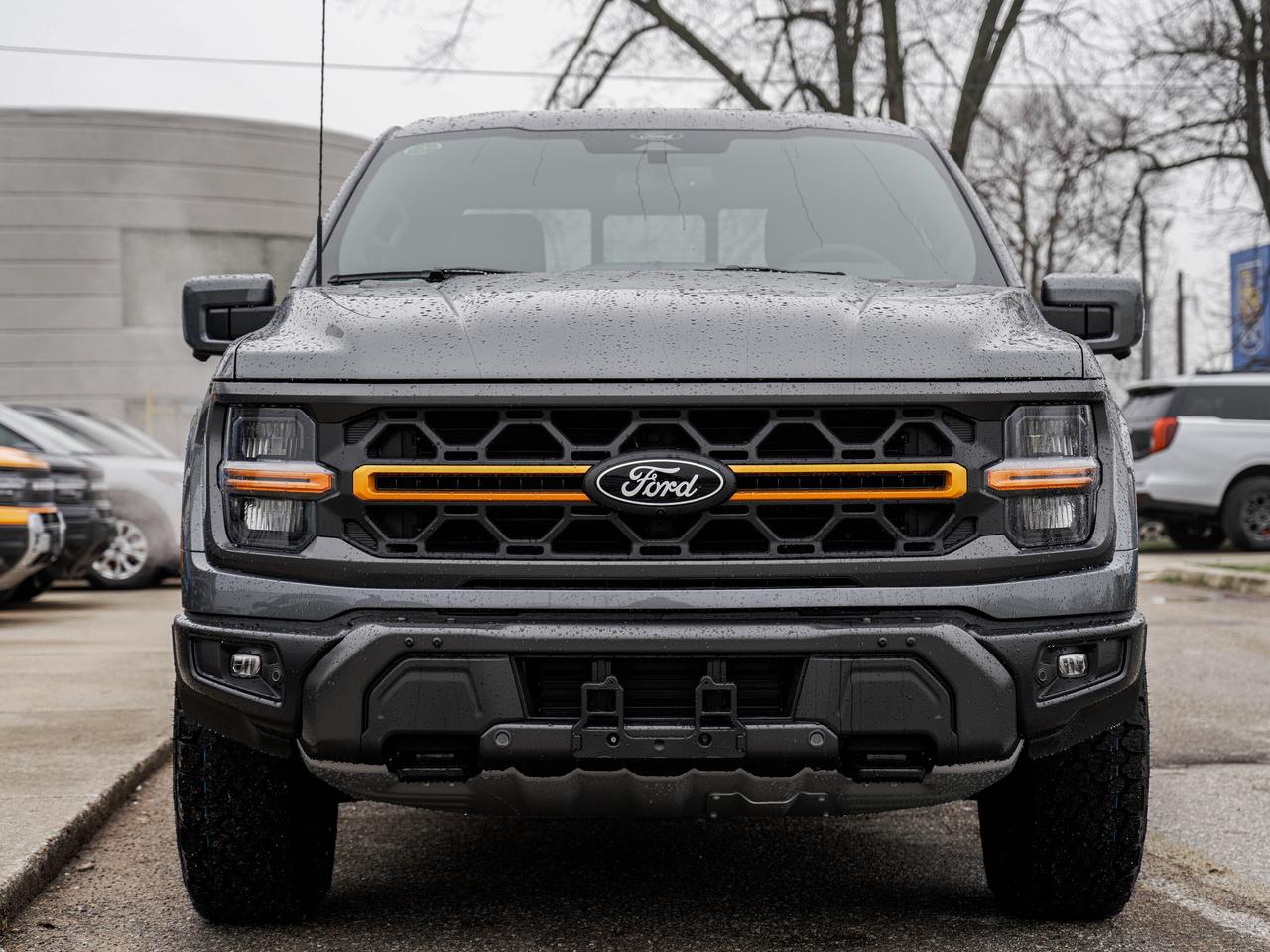 2026 Ford F-150 Tremor Photo