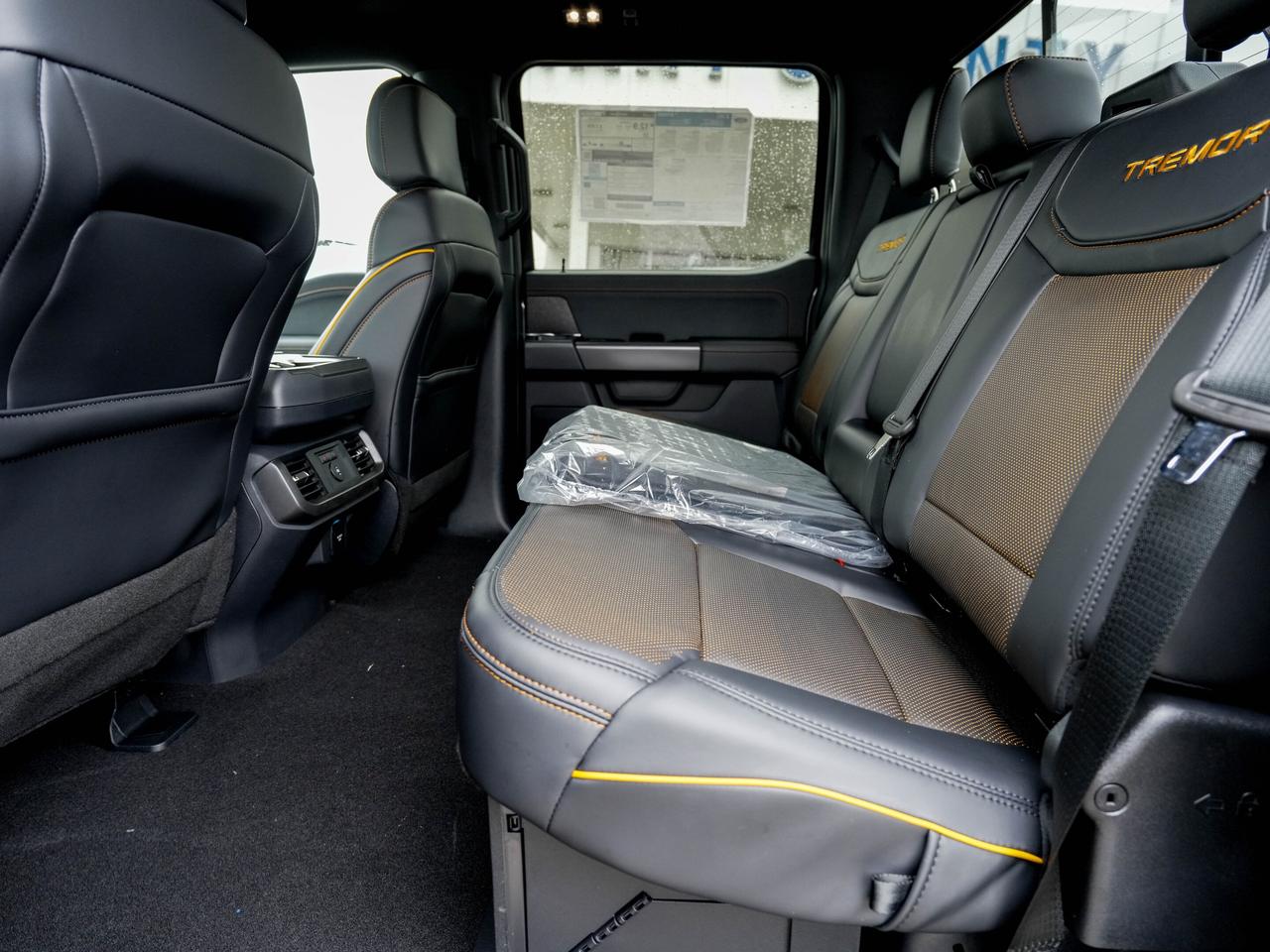 2026 Ford F-150 Tremor Photo
