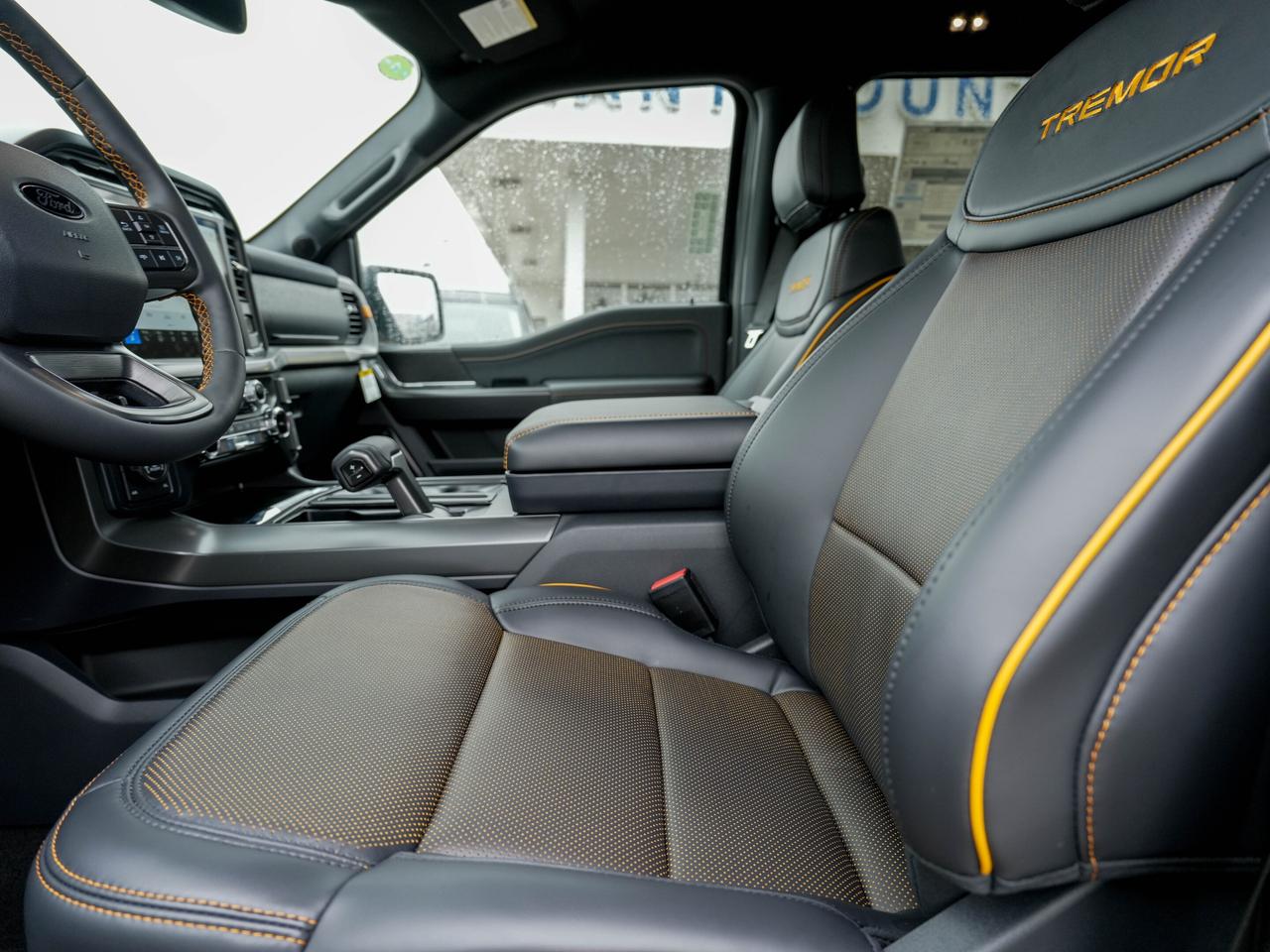2026 Ford F-150 Tremor Photo