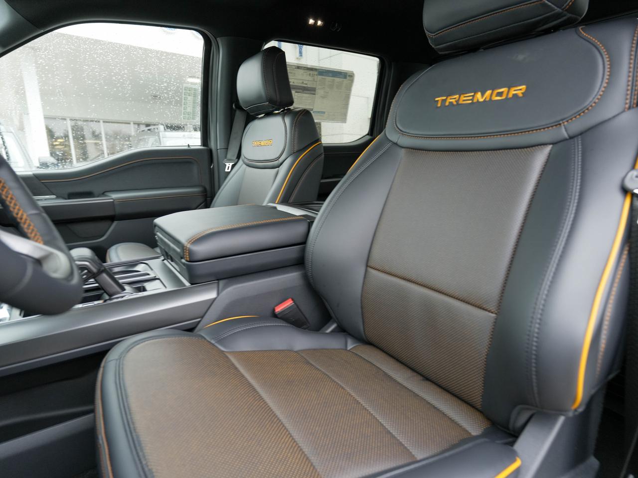 2026 Ford F-150 Tremor Photo