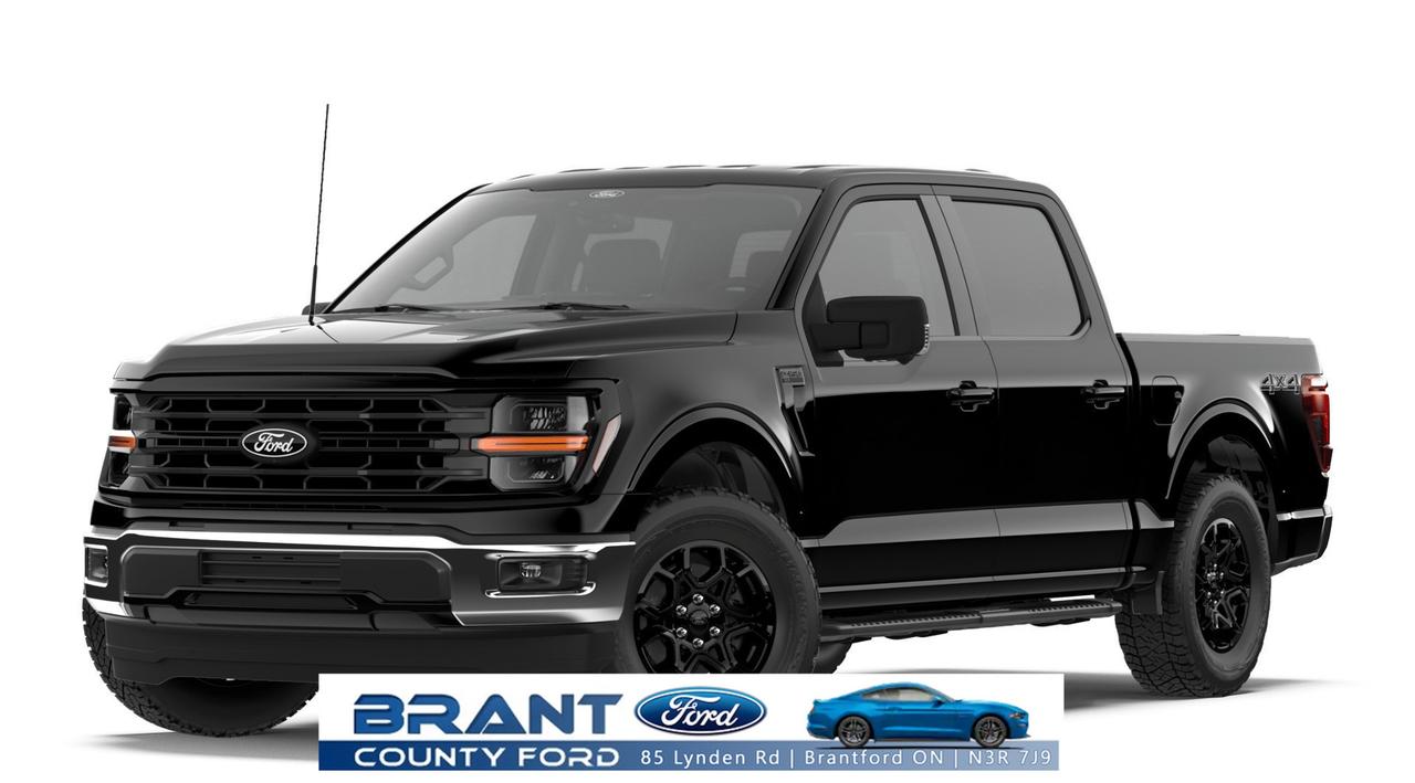 2026 Ford F-150 XLT Photo