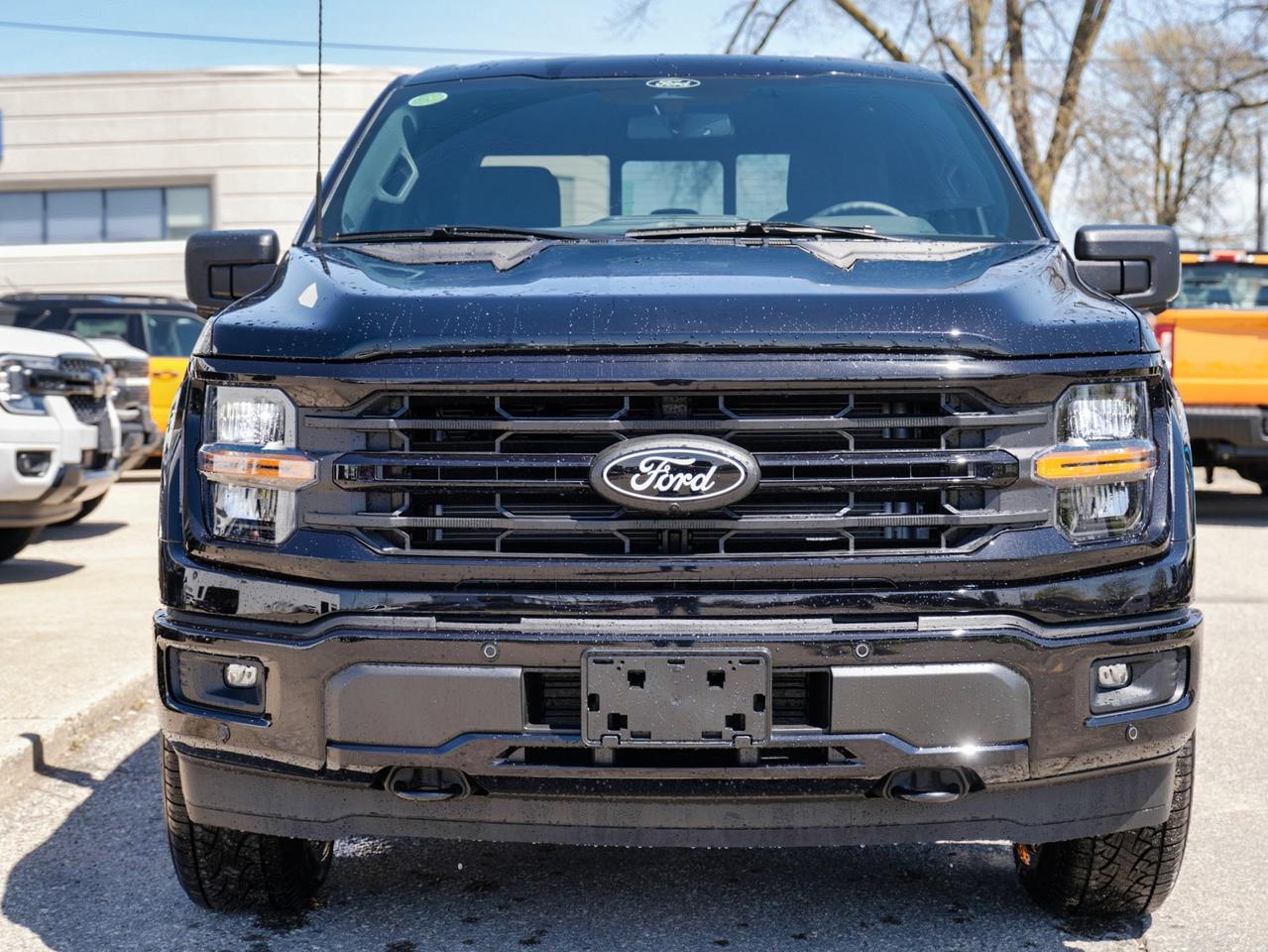2026 Ford F-150 XLT Photo