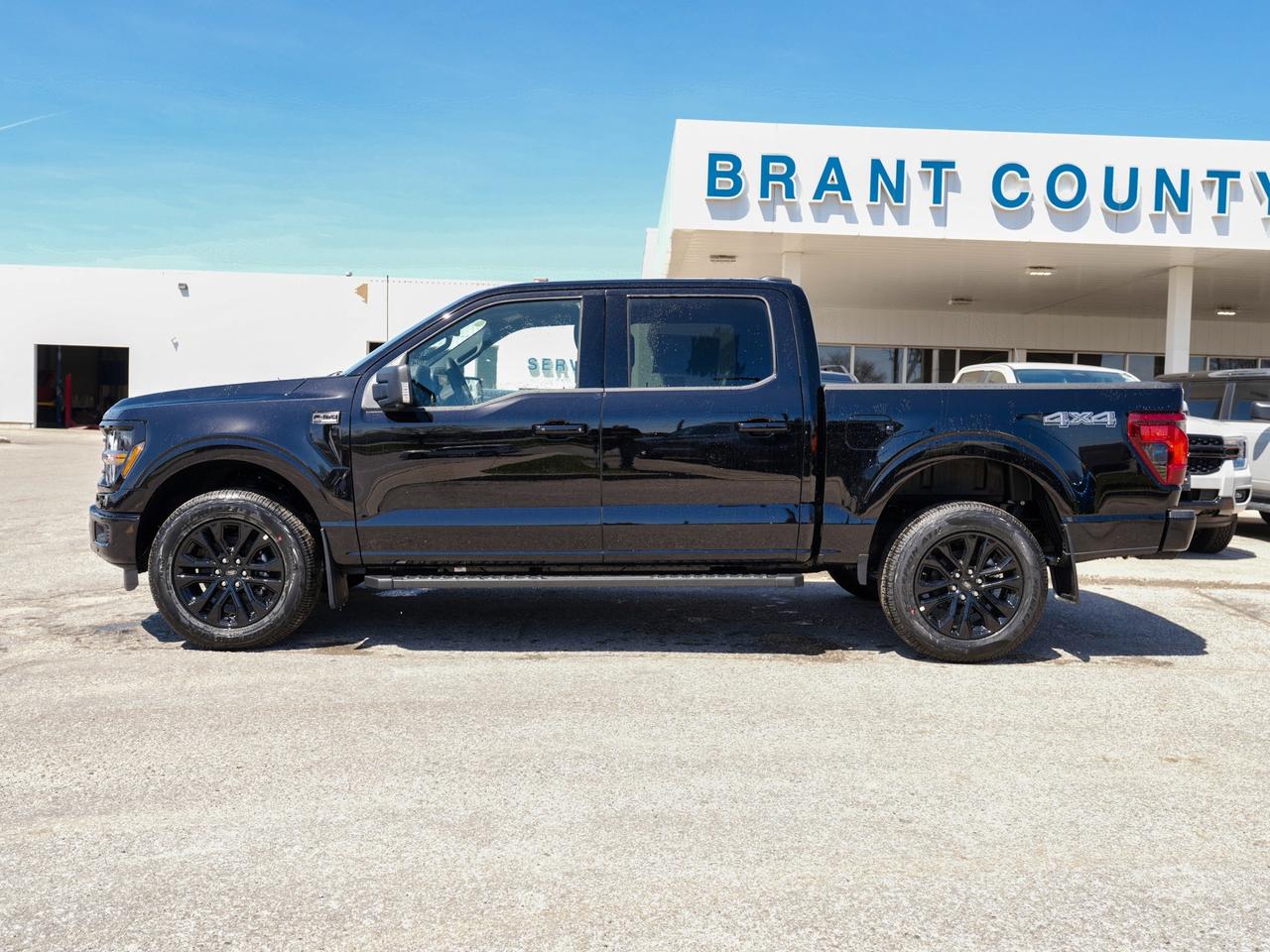 2026 Ford F-150 XLT Photo2