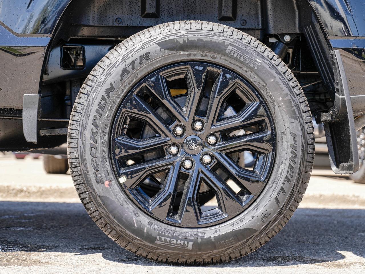 2026 Ford F-150 XLT Photo
