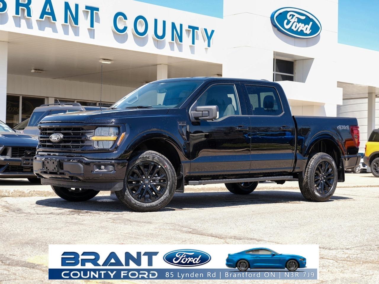 2026 Ford F-150 XLT Photo