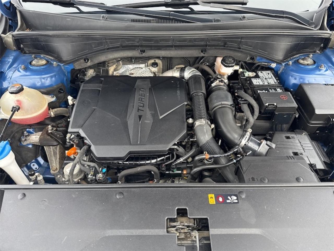 2022 Kia Sorento X-Line  Heated Steering Wheel - $223 B/W Photo