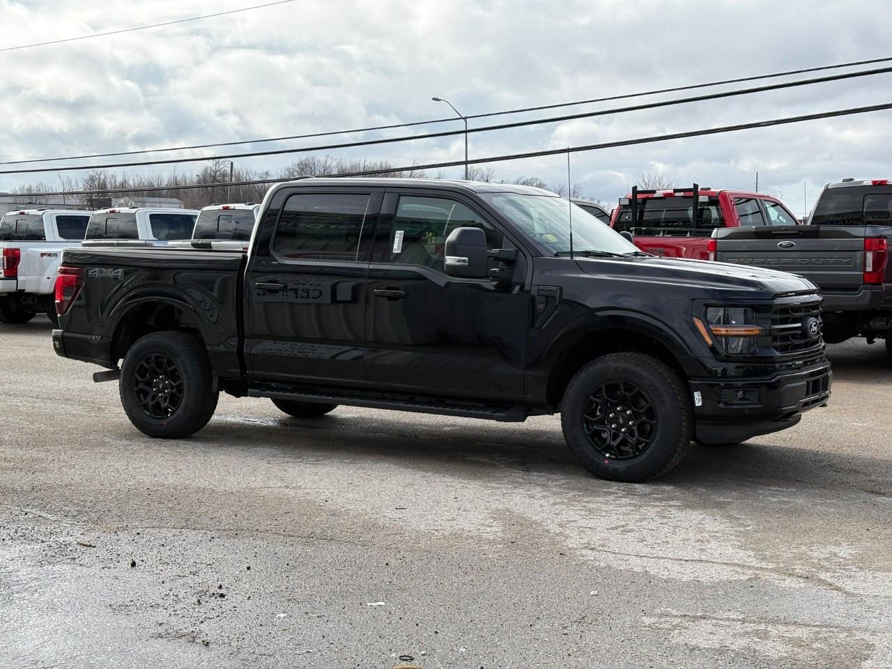 2026 Ford F-150 XLT 4WD SuperCrew 5.5' Box Photo4