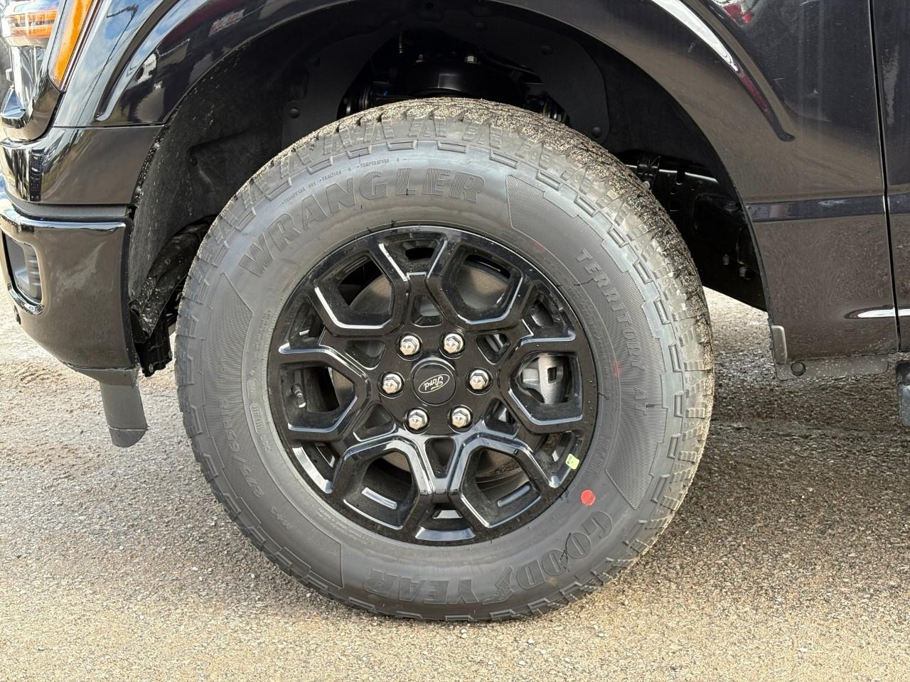 2026 Ford F-150 XLT 4WD SuperCrew 5.5' Box Photo