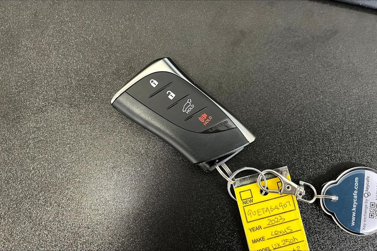 13880691