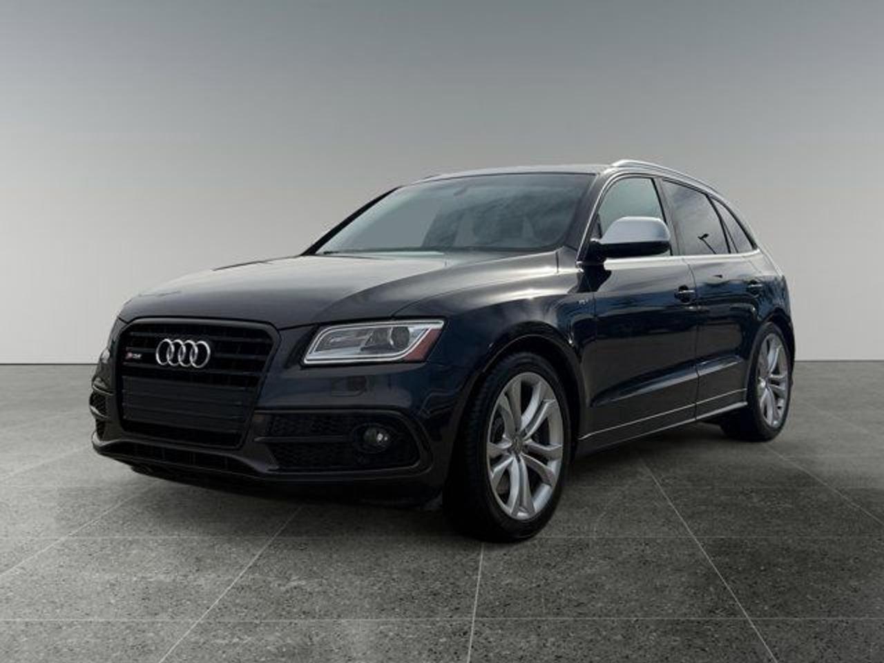 2014 Audi SQ5 3.0T Technik - Photo #1