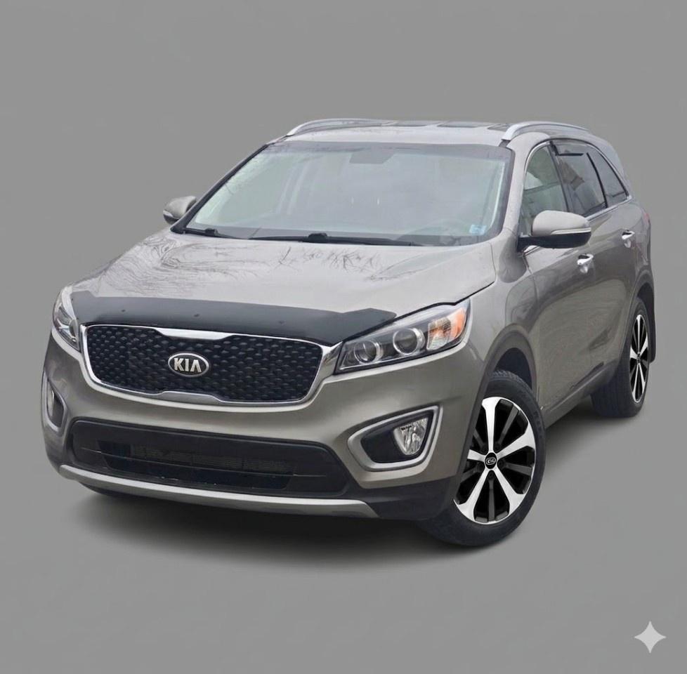 2016 Kia Sorento AWD 4DR 3.3L EX+ 7-SEATER Photo0