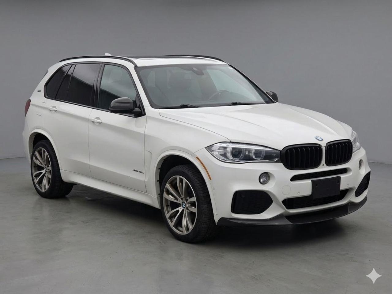 2018 BMW X5 xDrive40e Sports Activity Vehicle Photo