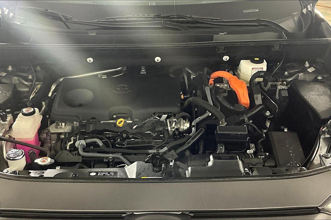 2024 Toyota RAV4 Hybrid LE AWD Photo